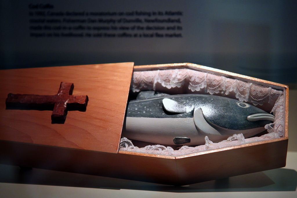 Cod Coffin by Mr.TinDC