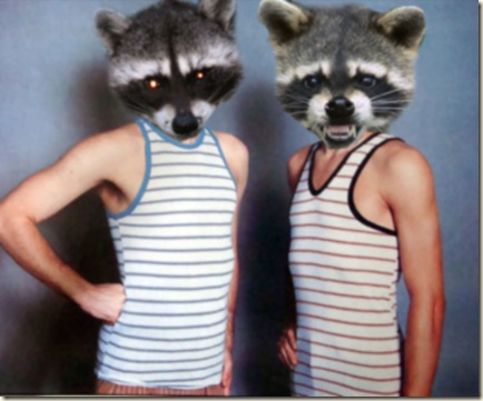 Raccoon Face Freaks